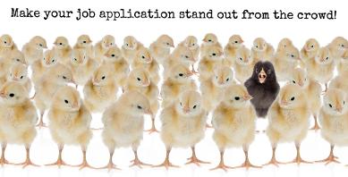 TFCV Make yourn job application stand out from the crowd
